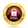 SSL-certifikat till din hemsida